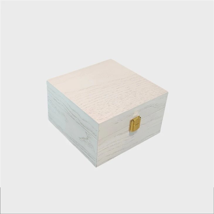 Luxury watch box